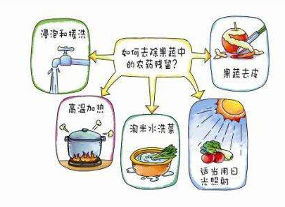 如何減少農(nóng)藥污染去除農(nóng)藥殘留？振華化工總結(jié)以下幾點分享給大家